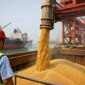 China devolve 20 navios de soja brasileira, Cargill cancela embarques e o caos se instala, mas agora Pequim recua, flexibiliza regras sobre ervas daninhas e as cargas finalmente devem ser liberadas nos próximos dias