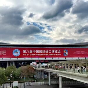 CCDIBC destaca oportunidades do e-commerce brasileiro no encontro “E-commerce da Rota da Seda” da CIIE e reforça apelo para aprofundar a cooperação sino-brasileira em comércio digital