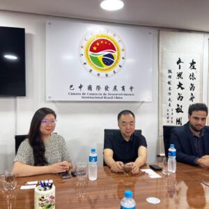 Neusoft visita o CCDIBC para discutir novas oportunidades de desenvolvimento para empresas chinesas no Brasil