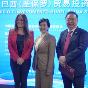 Atravessando Montanhas e Mares, de Mãos Dadas com o Futuro: Encontro de Cooperação em Comércio e Investimento Hubei-Brasil (São Paulo) Realizado com Sucesso